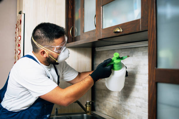 Best Affordable Pest Control Services  in Spiro, OK