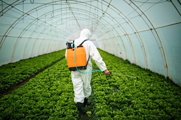Best Affordable Pest Control Services  in Spiro, OK