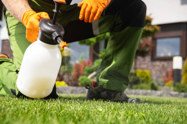 Best Affordable Pest Control Services  in Spiro, OK