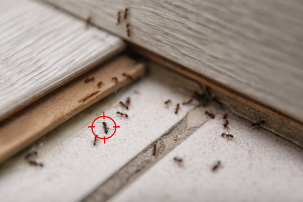 Spiro, OK Pest Control Company