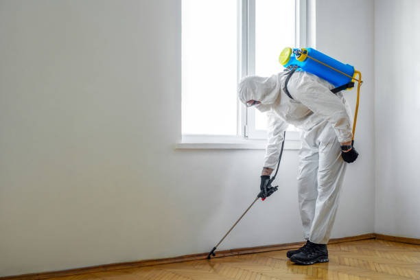 Wasp Removal Services in Spiro, OK