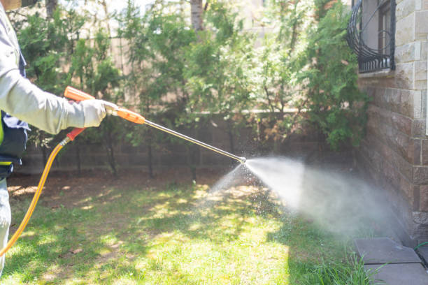 Best Pest Control Near Me  in Spiro, OK