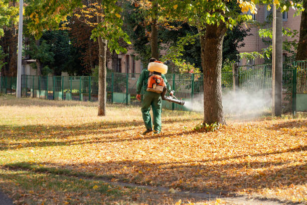 Best Pest Removal Services  in Spiro, OK