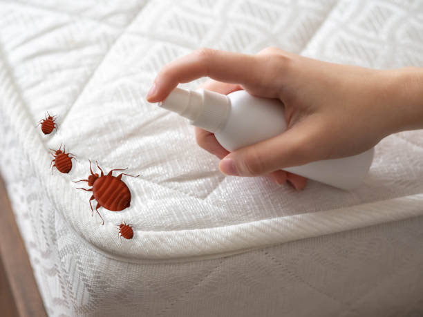 Best Exterminator Services  in Spiro, OK