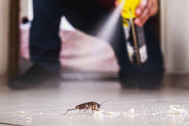 Best Cockroach Control Services  in Spiro, OK